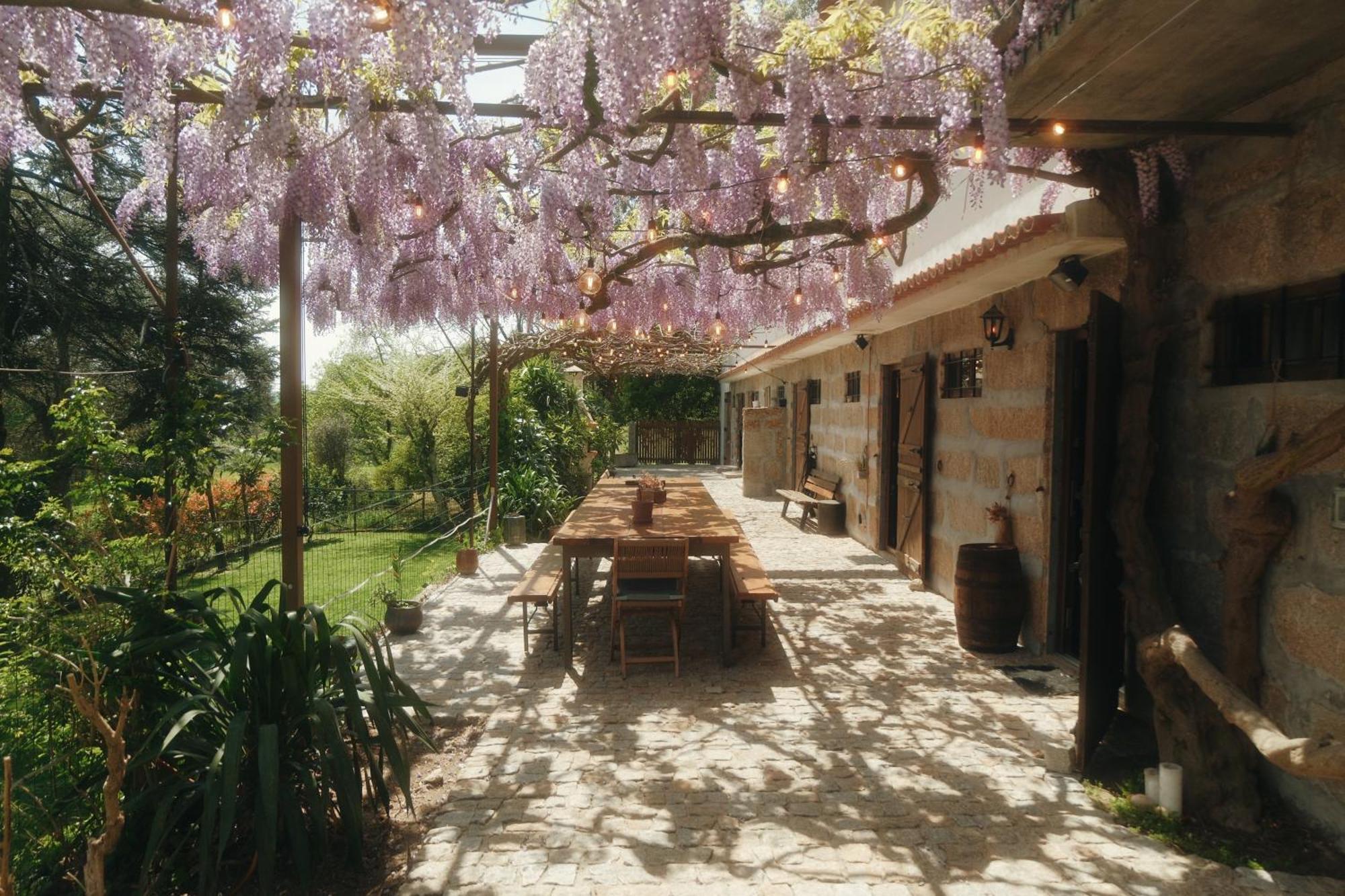 Casa Da Alvarinha Privacidade Conforto Natureza Paredes  Exterior foto